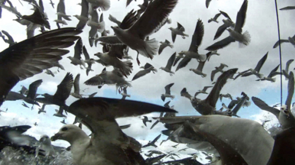 Photo from the movie Leviathan