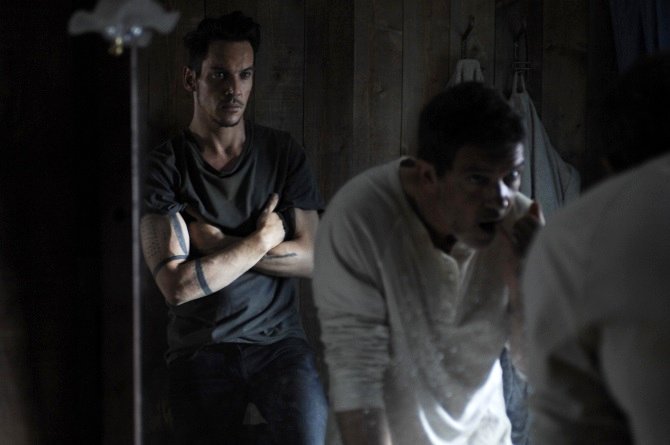 Photo du film Black Butterfly