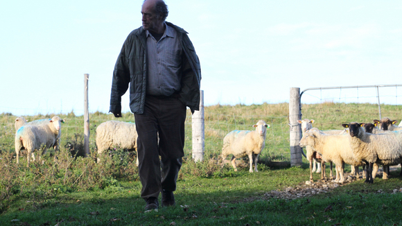 Photo du film Le Démantèlement