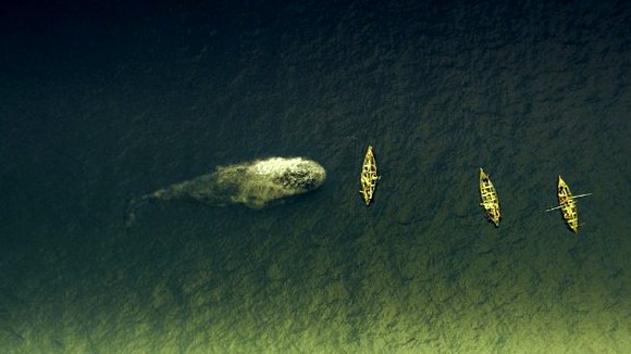 Photo du film Au coeur de l'océan