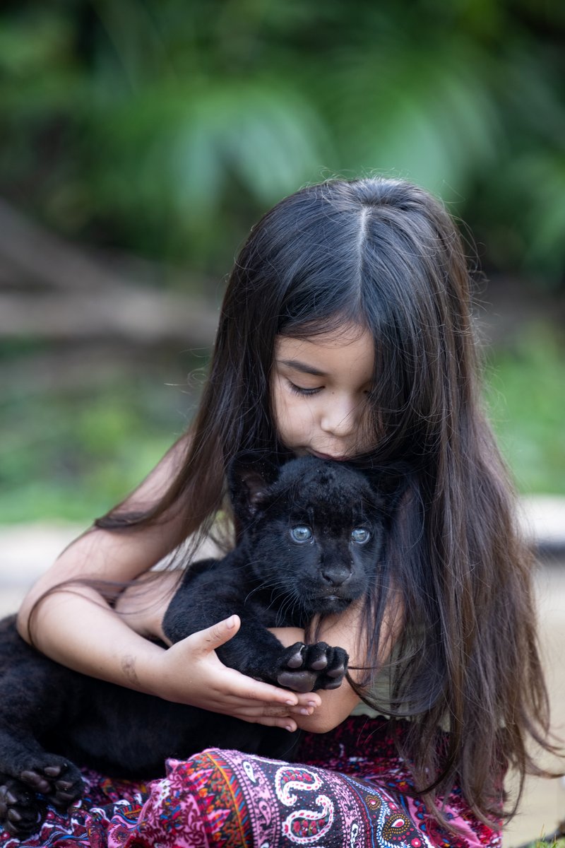 Photo from the movie Autumn and the Black Jaguar