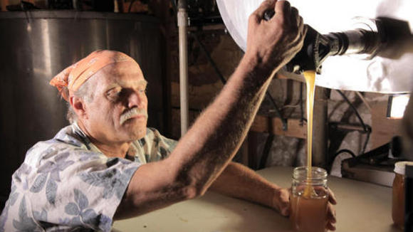 Photo from the movie More Than Honey