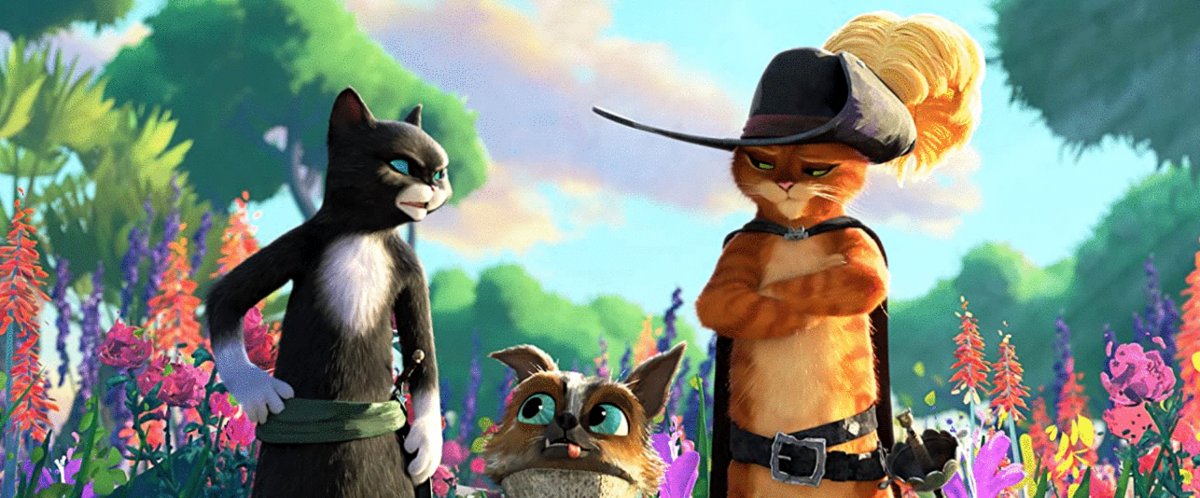 Photo du film Puss in Boots: The Last Wish