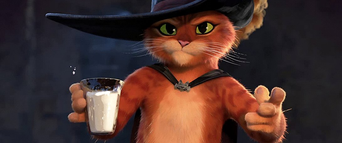 Photo du film Puss in Boots: The Last Wish