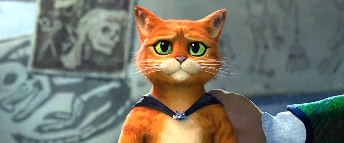 Photo du film Puss in Boots: The Last Wish