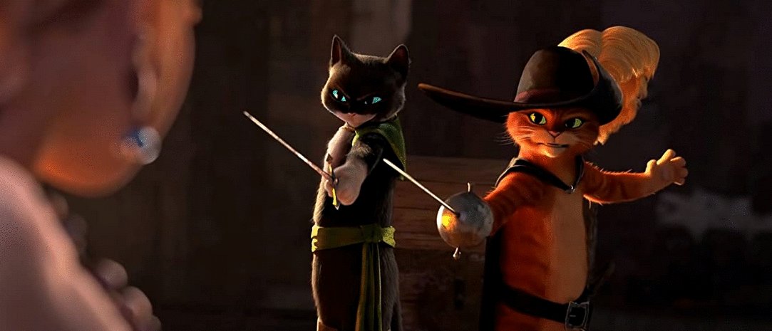 Photo du film Puss in Boots: The Last Wish