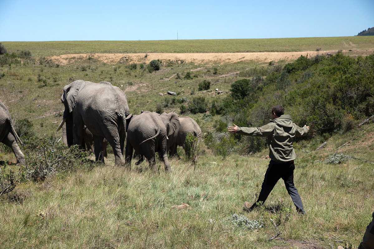 Photo du film Sauve qui peut: Un film You vs. Wild