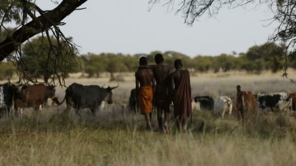 Photo du film Le Beau Mensonge