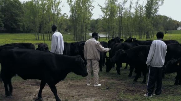 Photo du film Le Beau Mensonge