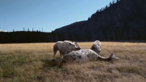 Photo from the movie Titans of the Ice Age