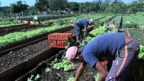 Photo du film Plant This Movie