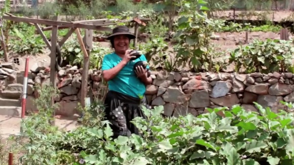 Photo du film Plant This Movie