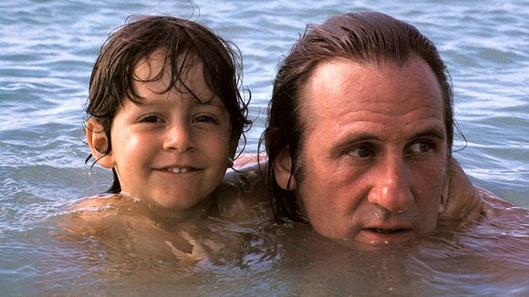 Photo du film Le Garçu