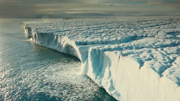 Photo from the movie Wonders of the Arctic