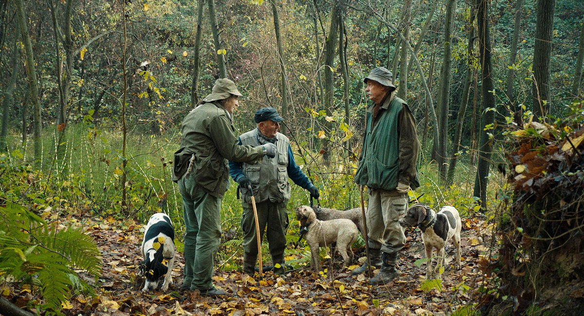 Photo from the movie The Truffle Hunters