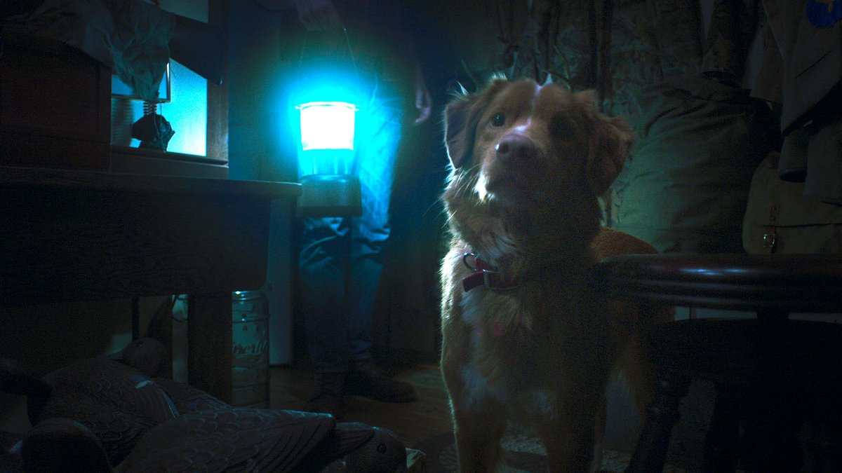 Photo du film Good Boy [2025]