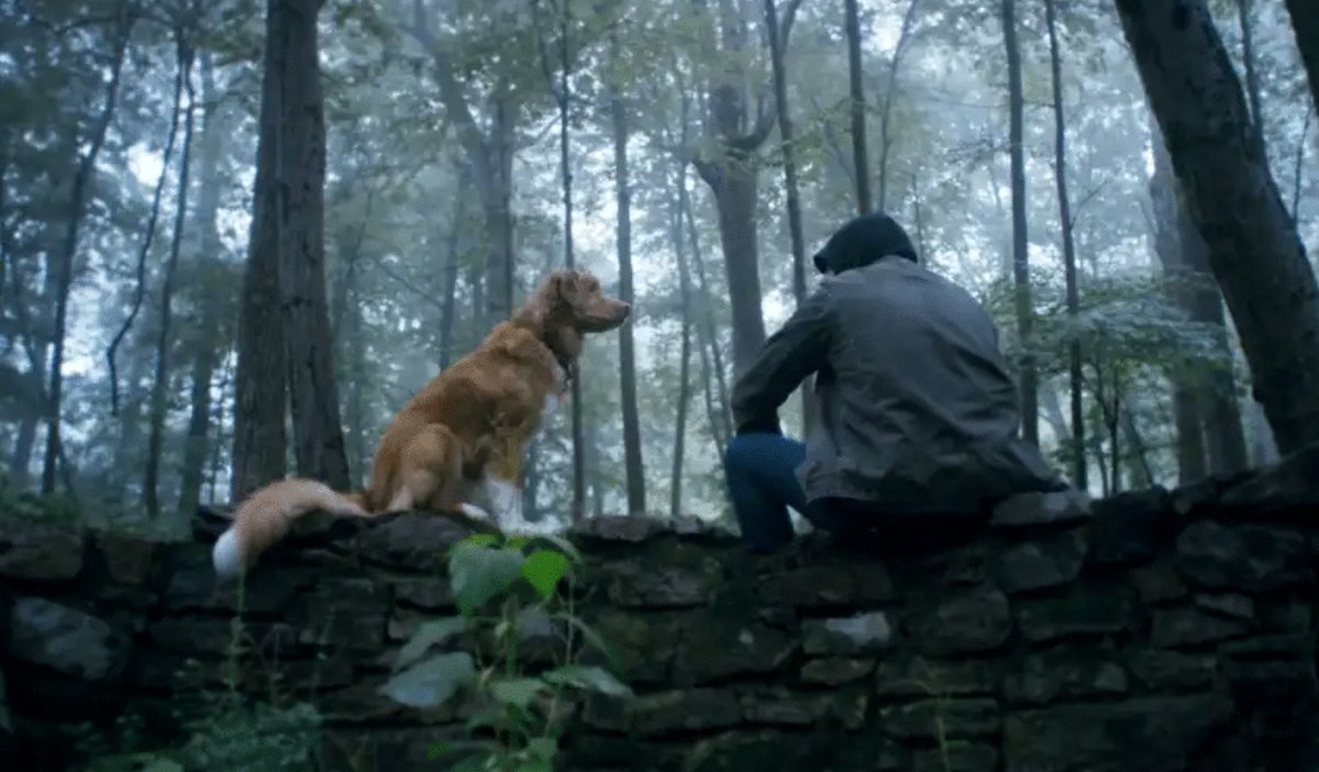 Photo du film Good Boy [2025]