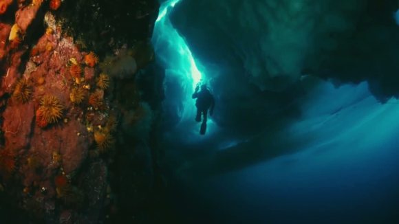 Photo from the movie Wonders of the Arctic