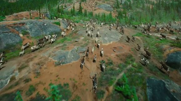 Photo from the movie Wonders of the Arctic
