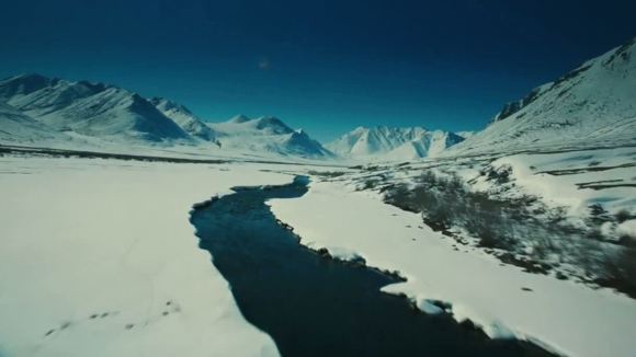 Photo from the movie Wonders of the Arctic