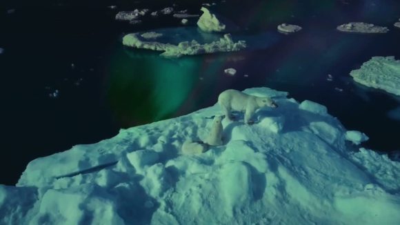 Photo from the movie Wonders of the Arctic