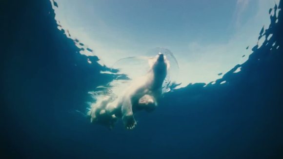 Photo from the movie Wonders of the Arctic