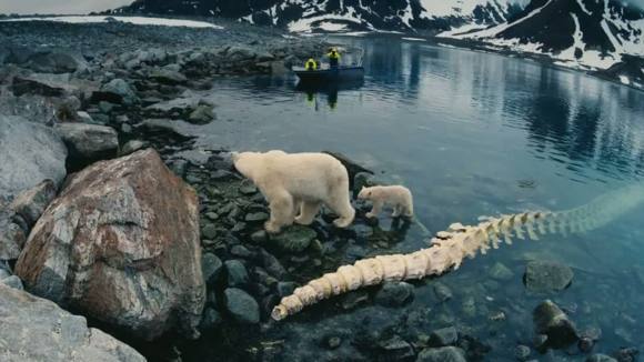 Photo from the movie Wonders of the Arctic