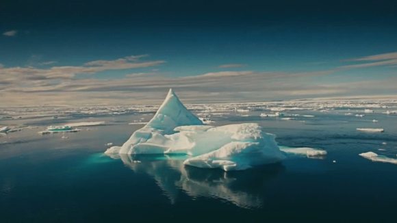 Photo from the movie Wonders of the Arctic