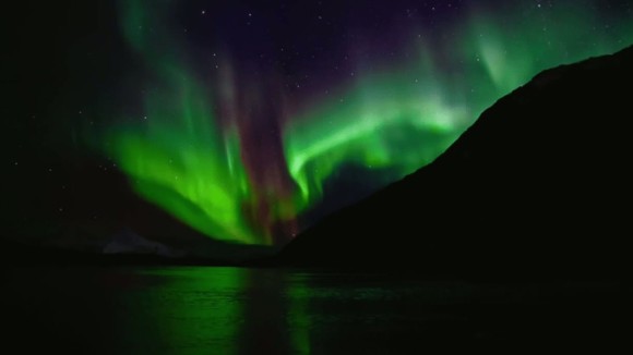 Photo from the movie Wonders of the Arctic