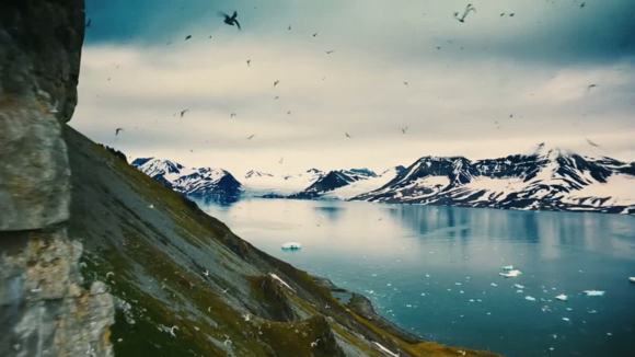 Photo from the movie Wonders of the Arctic