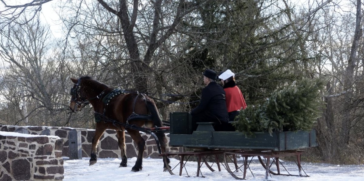 Photo du film A Gettysburg Christmas
