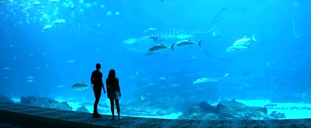 Photo du film After - La rencontre