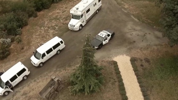 Photo from the movie The Dog Lover