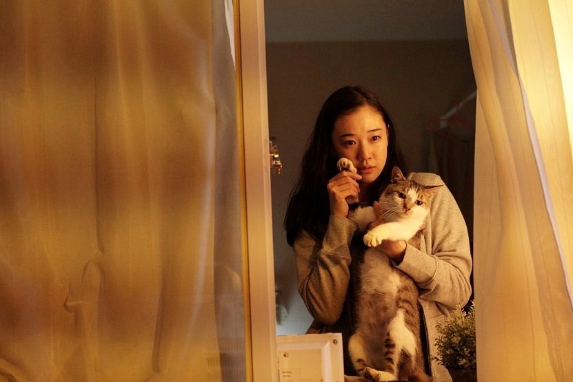 Photo from the movie Azumi Haruko wa yukue fumei