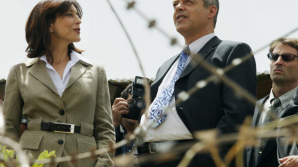 Photo du film Les citronniers