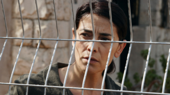 Photo du film Les citronniers