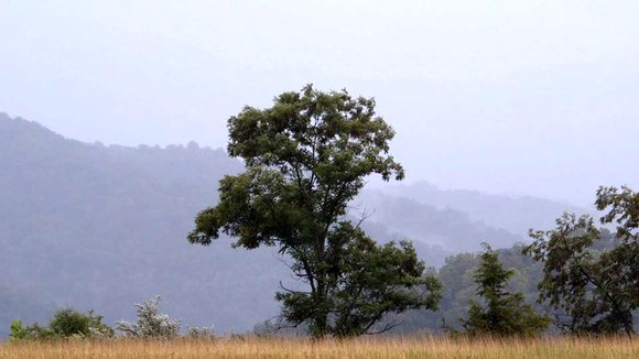 Photo from the movie The Prison in Twelve Landscapes