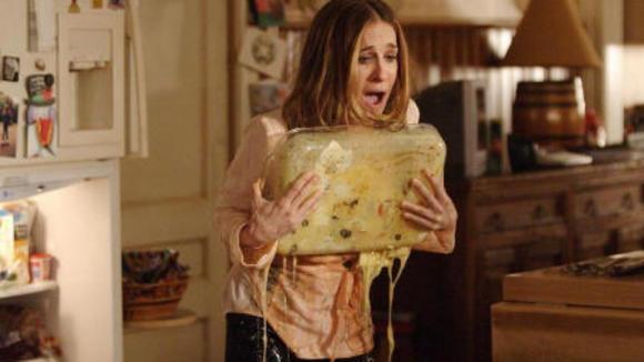 Photo du film The Family Stone