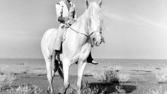 Photo from the movie White Mane