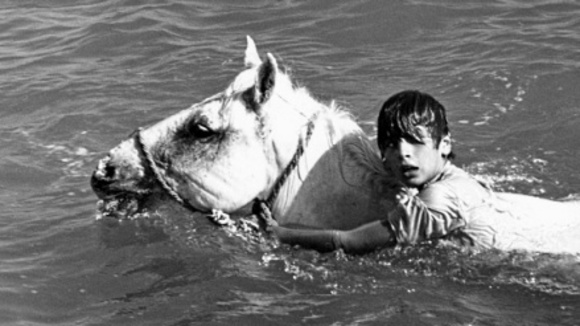 Photo from the movie White Mane