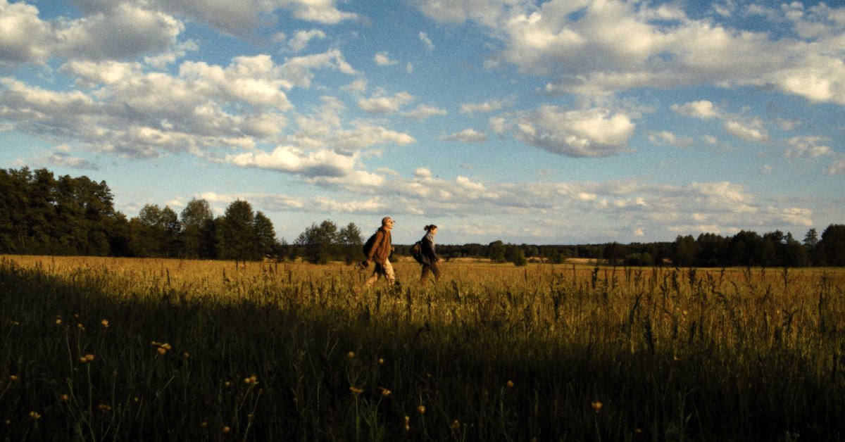 Photo du film Porcelain War