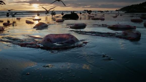 Photo from the movie Birdman or the Unexpected Virtue of Ignorance