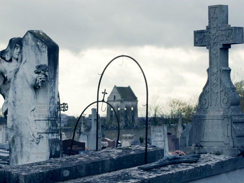 Photo du film Van Gogh: Champs de blé sous un ciel de pluie