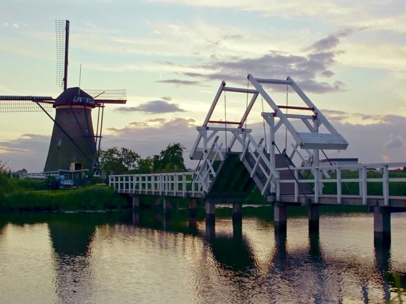 Photo du film Van Gogh: Champs de blé sous un ciel de pluie