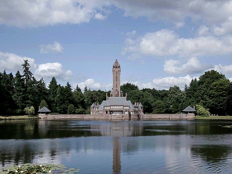 Photo du film Van Gogh: Champs de blé sous un ciel de pluie