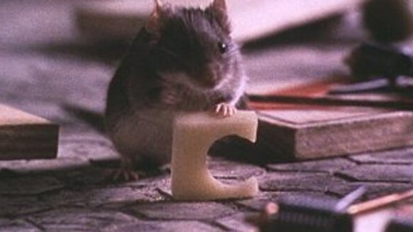 Photo du film Ne réveillez pas une souris qui dort