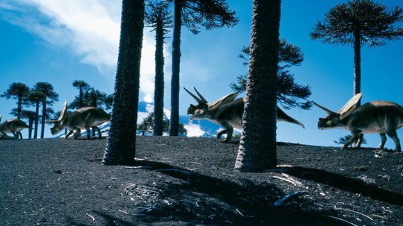 Photo du film Sur la terre des dinosaures