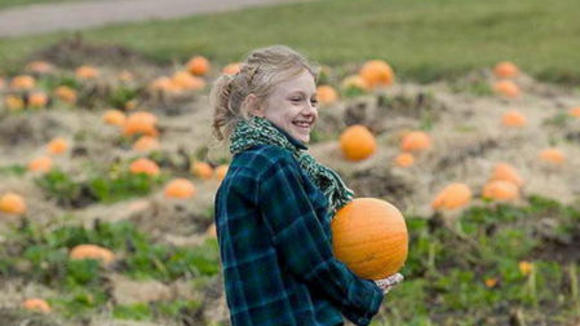 Photo du film Le Petit monde de Charlotte
