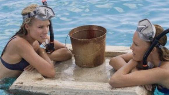 Photo du film Couples en vacances