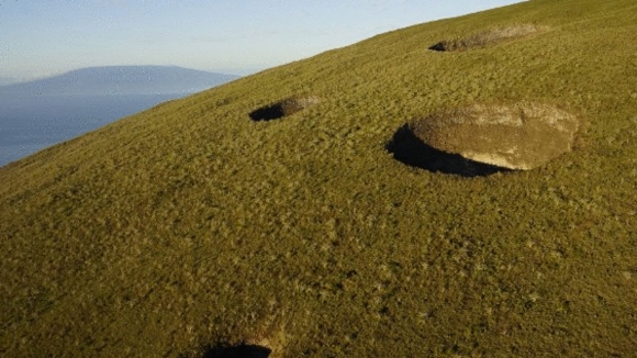 Photo du film Galapagos: Merveilles de la nature